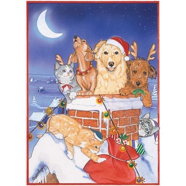 Pipsqueak Productions Pipsqueak Productions C492 Mix Dog With Cat Holiday Boxed Cards C492 - main